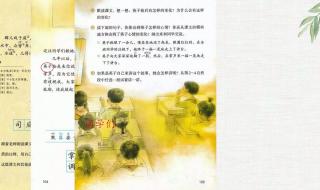 三年级上册语文复习 三年级上册语文复习