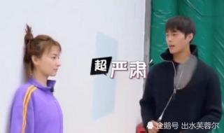 何炅为什么被全网封 何炅为什么被全网封